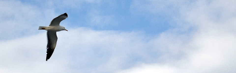 瓦城泰統徐承義理財